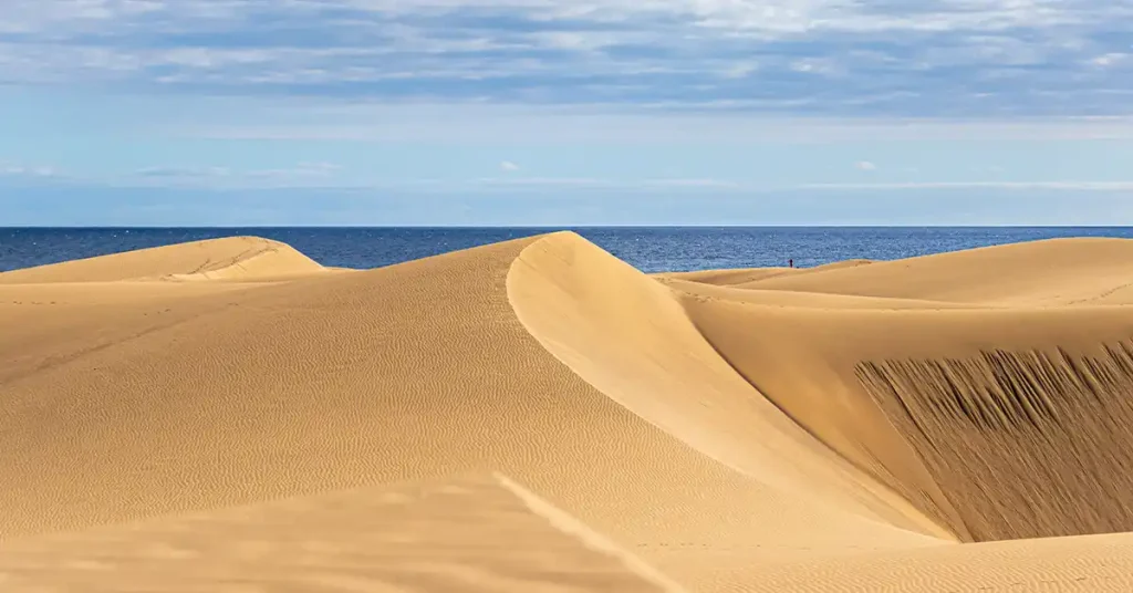 Dunes of Gran Canaria