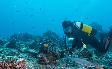 Diving in the Canary Islands