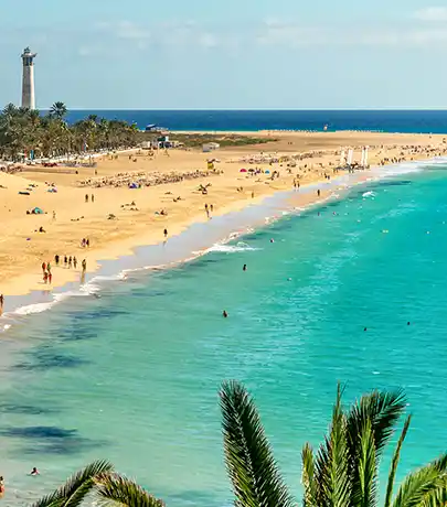 Fuerteventura Gastronomy