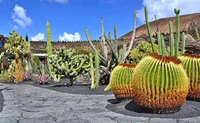 Jardin de Cactus Lanzarote