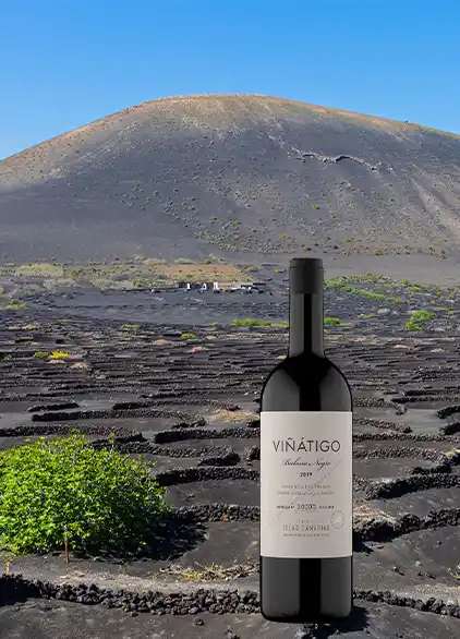 Canary Islands Wines Lanzarote
