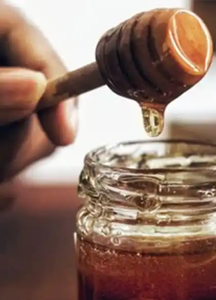Canary Palm Honey