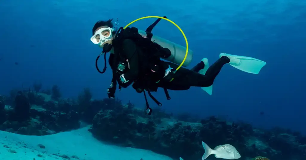 Diving in the Canary Islands
