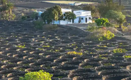 La Geria - Tourist resort in Lanzarote