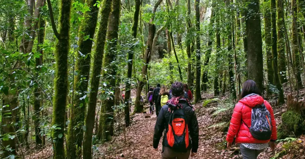 La Gomera active tourism Canary Islands