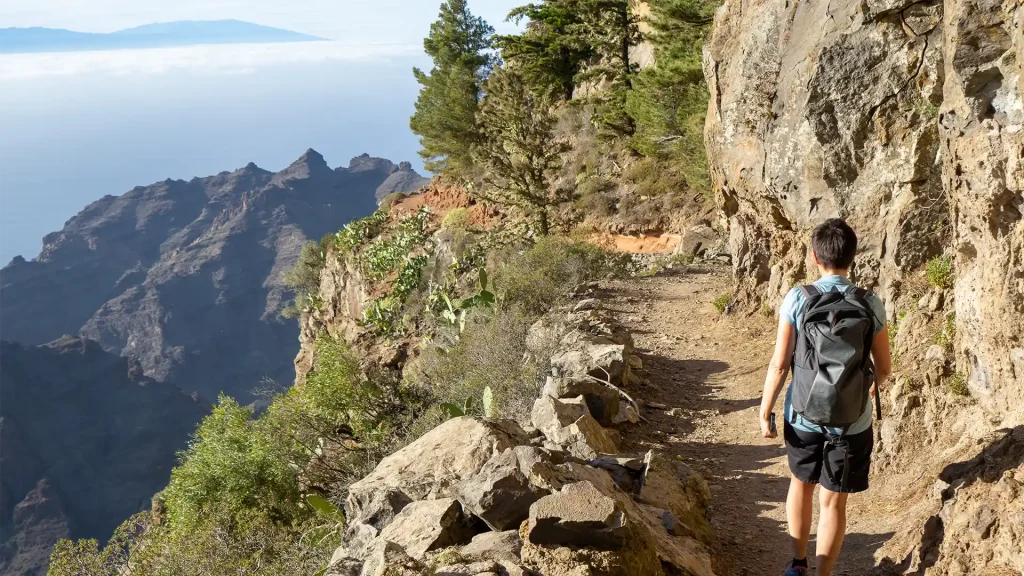 Canary Islands National Parks