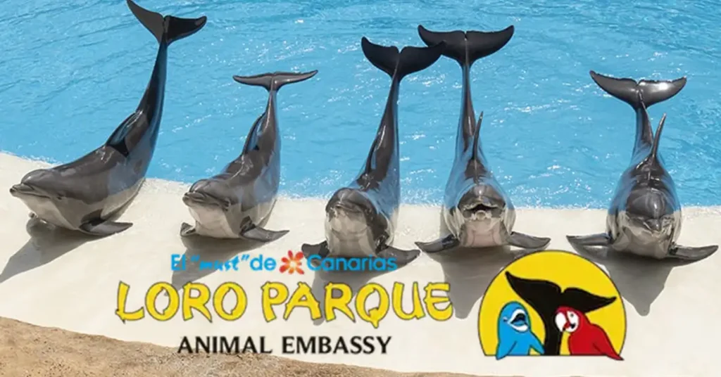 Loro Parque Tenerife