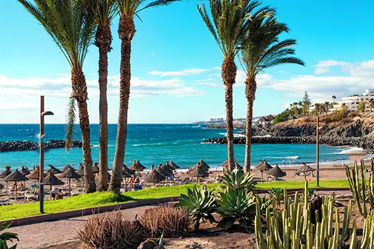 playa de las Americas Tenerife
